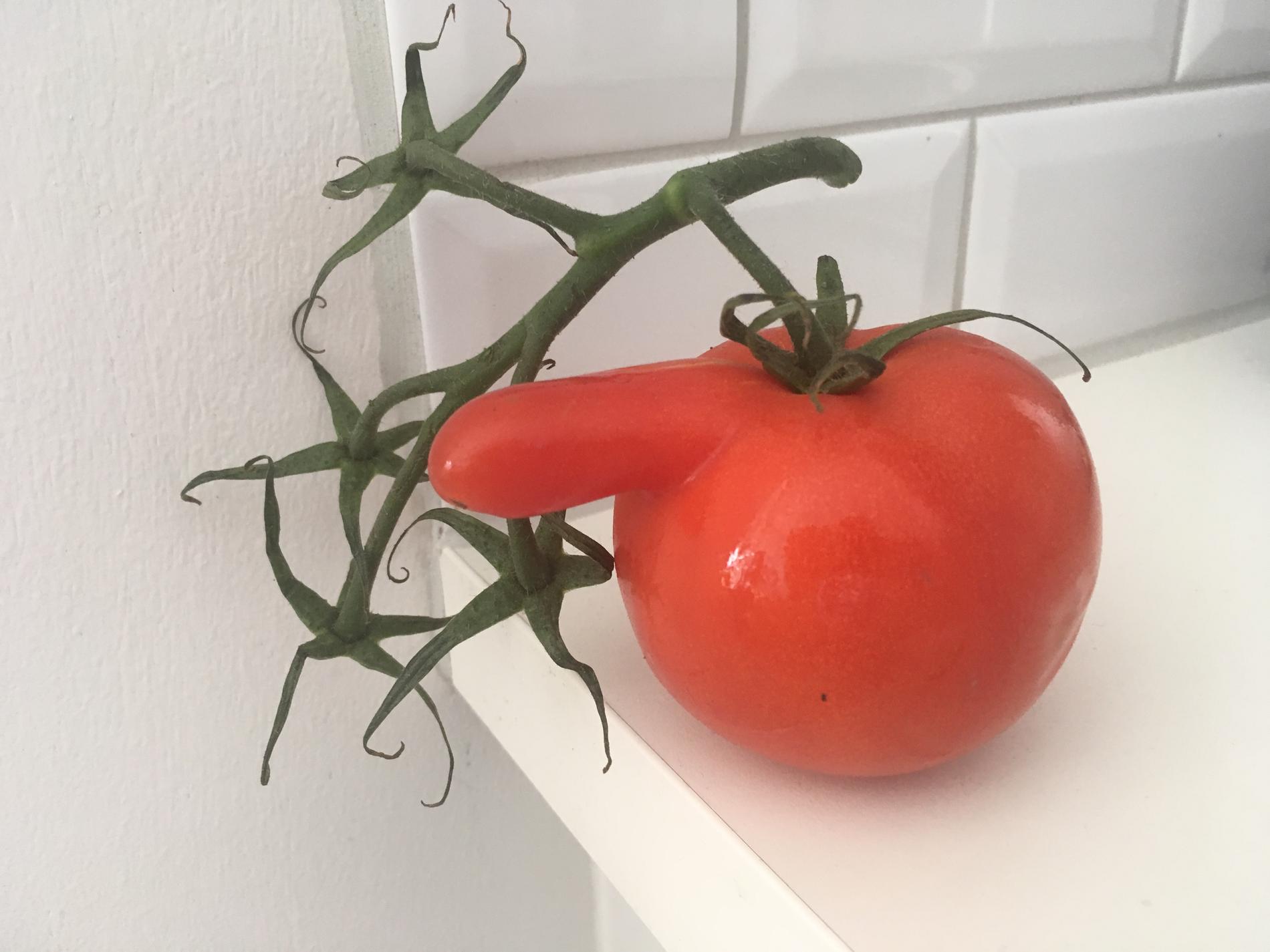 ”Hur ofta händer det att en tomat ser ut just så här?”