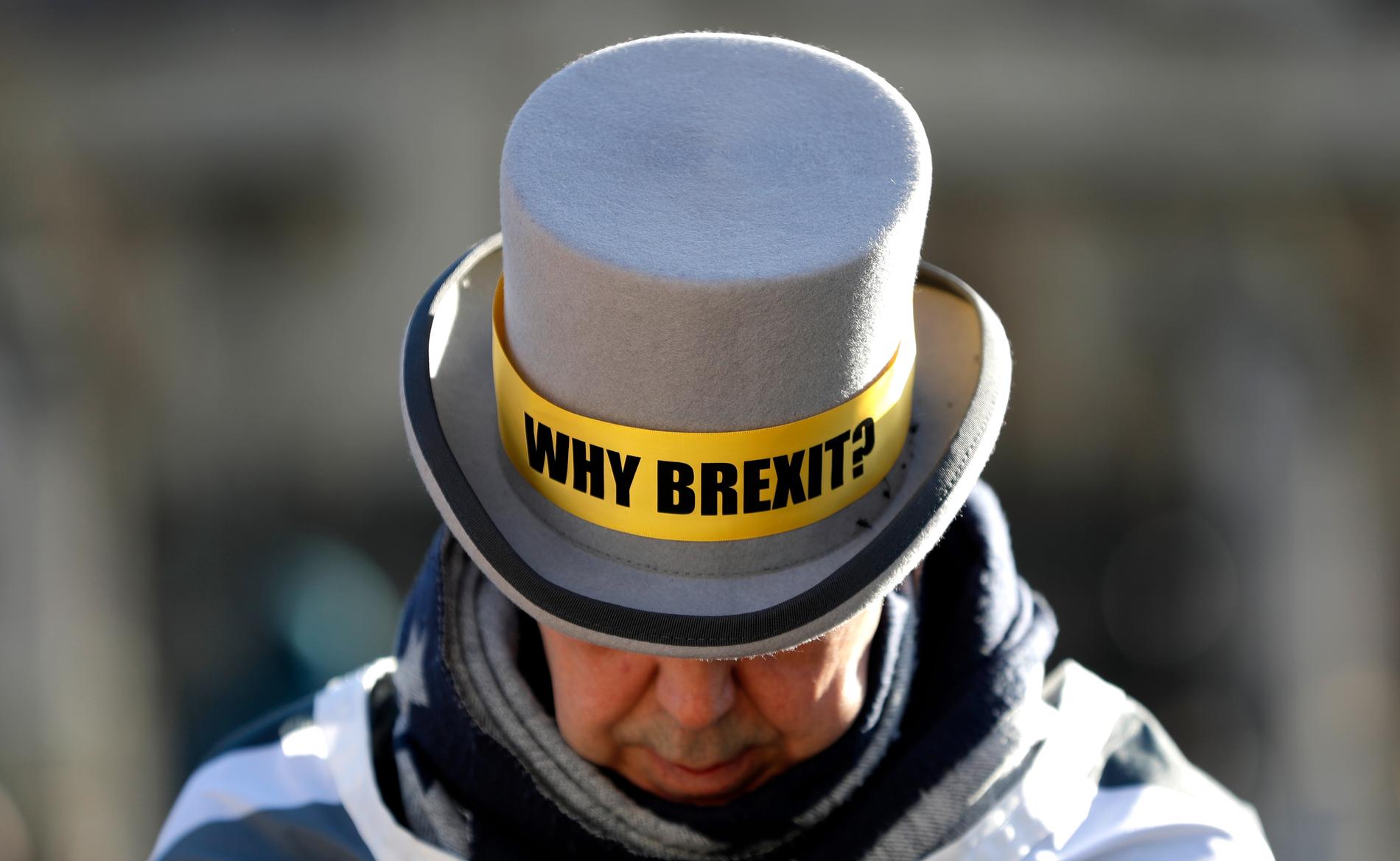 Brexitmotståndaren Steve Bray har nästan dagligen demonstrerat utanför parlamentet i London mot beslutet att lämna EU.