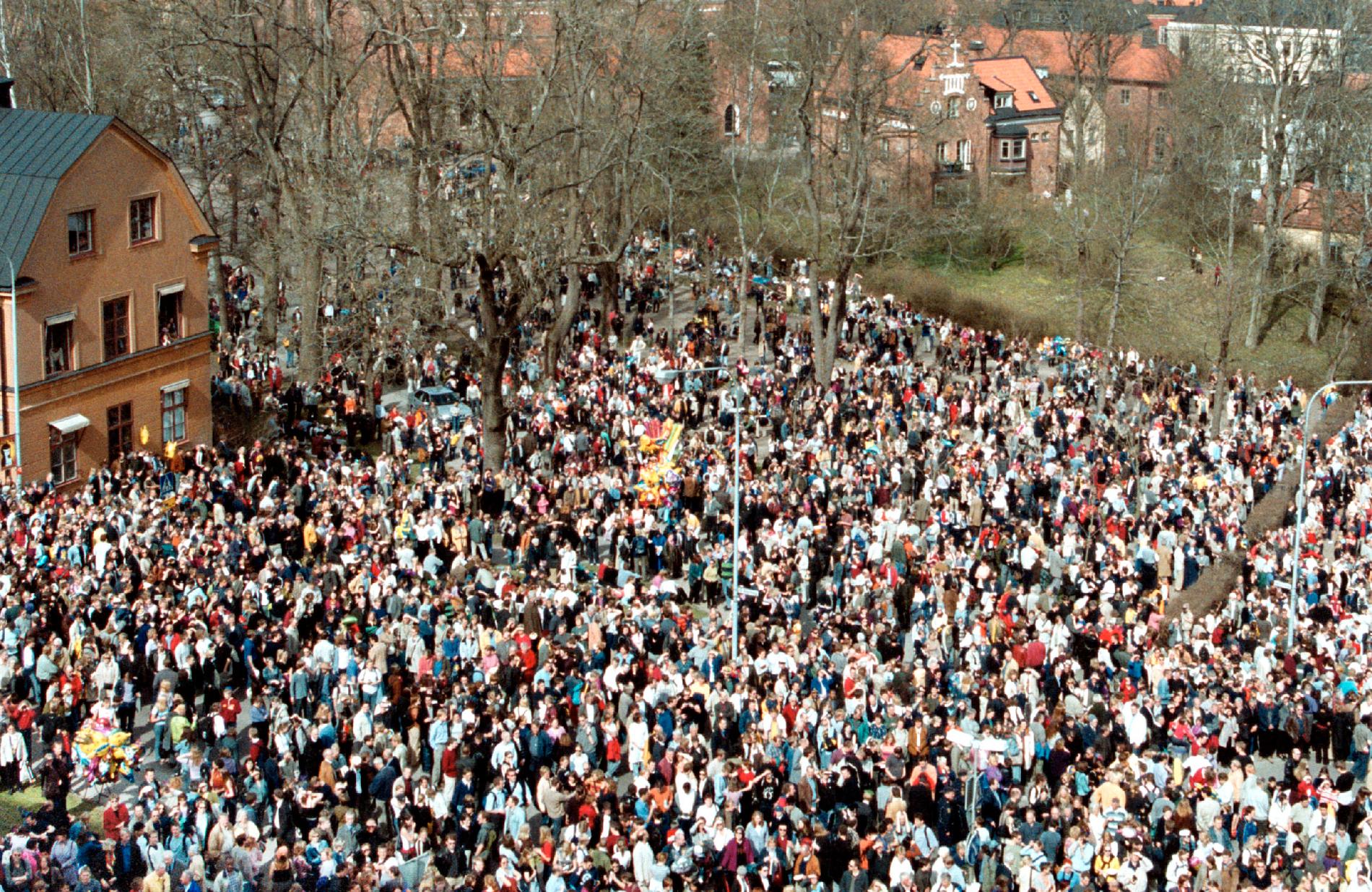 Närmare 100 000 personer brukar fira valborg i Uppsala.