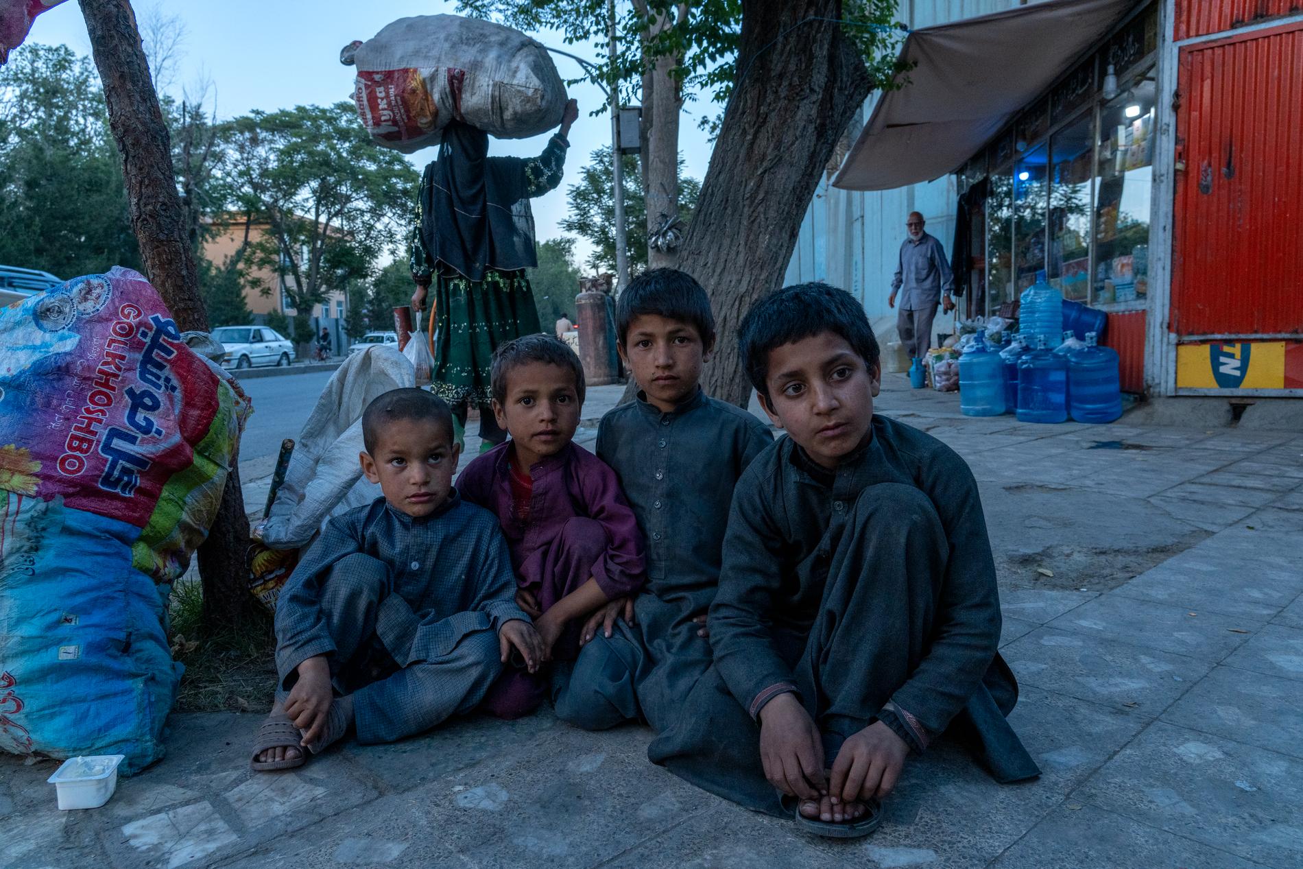 I Afghanistan väntas 1,1 miljoner barn under 5 år lida av undernäring i slutet av detta år. Allt fler barn syns tigga på gatorna. Här är barn som ber om hjälp med mat på gatorna i Kabul. 
