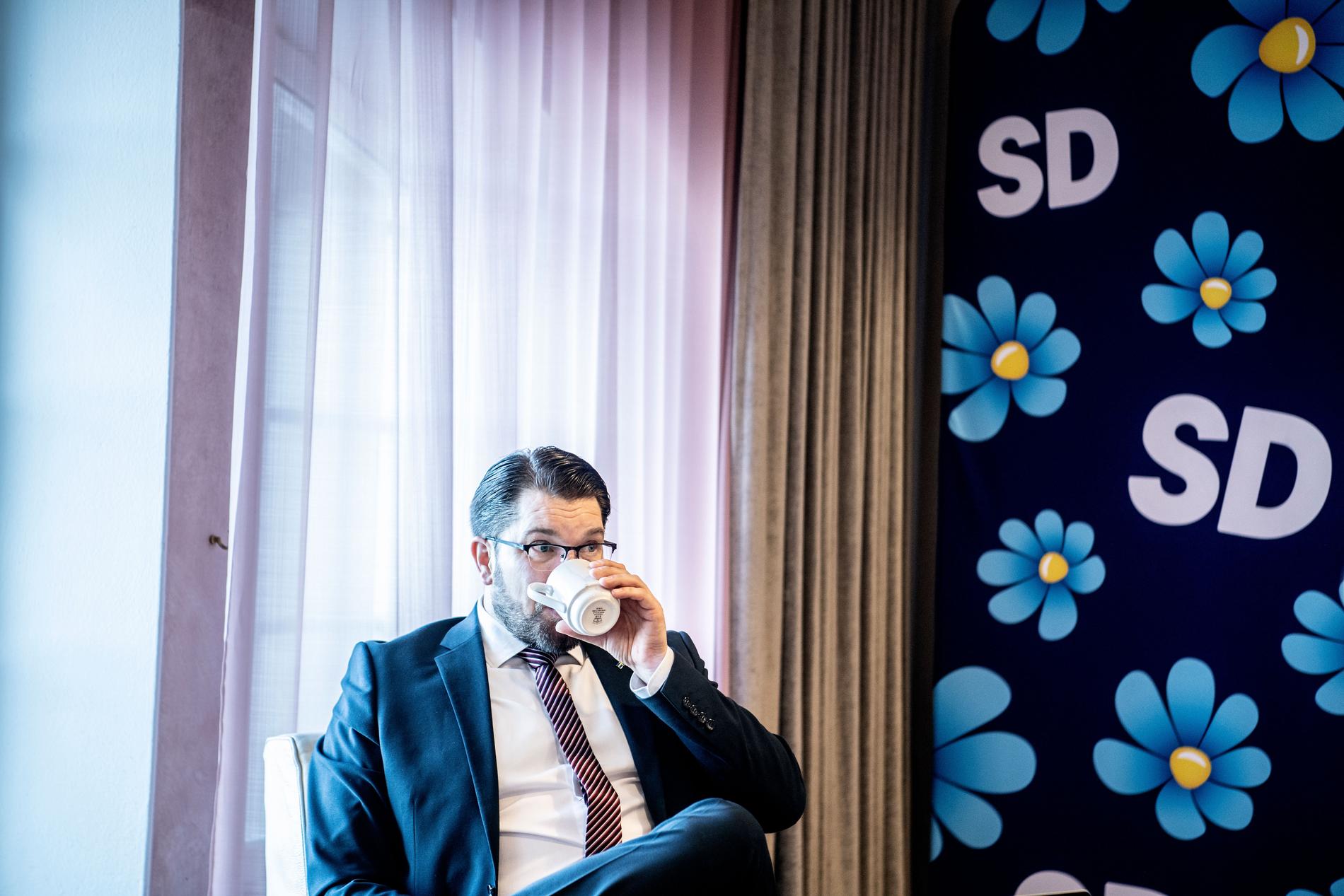 ”Det är nästan konstigt när man tänker tillbaka på det hur nästan obefintligt det var som parti”, säger Åkesson om SD på 1990-talet.