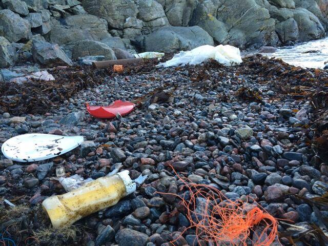 Över 30 000 säckar plast och dessutom en massa annat skräp. Så lyder resultatet av en rejäl städning längs Bohusläns stränder i fjol.