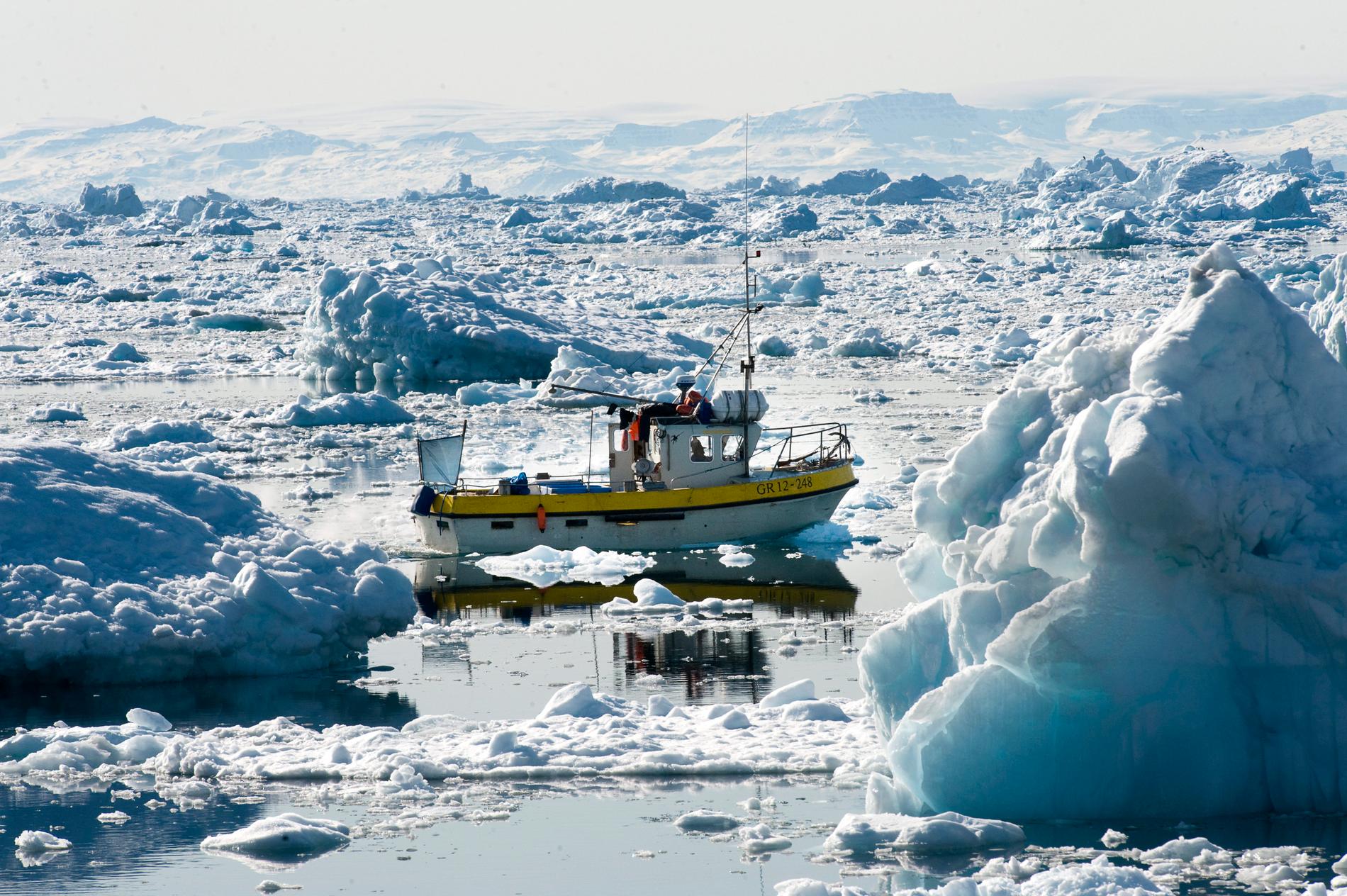 Fiskebåt utanför Grönlands kust.