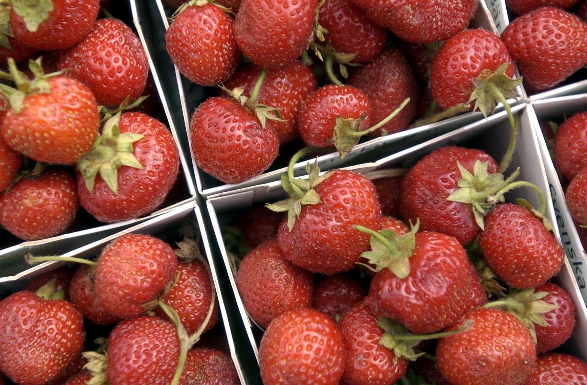 Tre av tio plockar ihop en egen perfekt jordgubbskartong i Norge, vilket skapar ilska i butikerna.