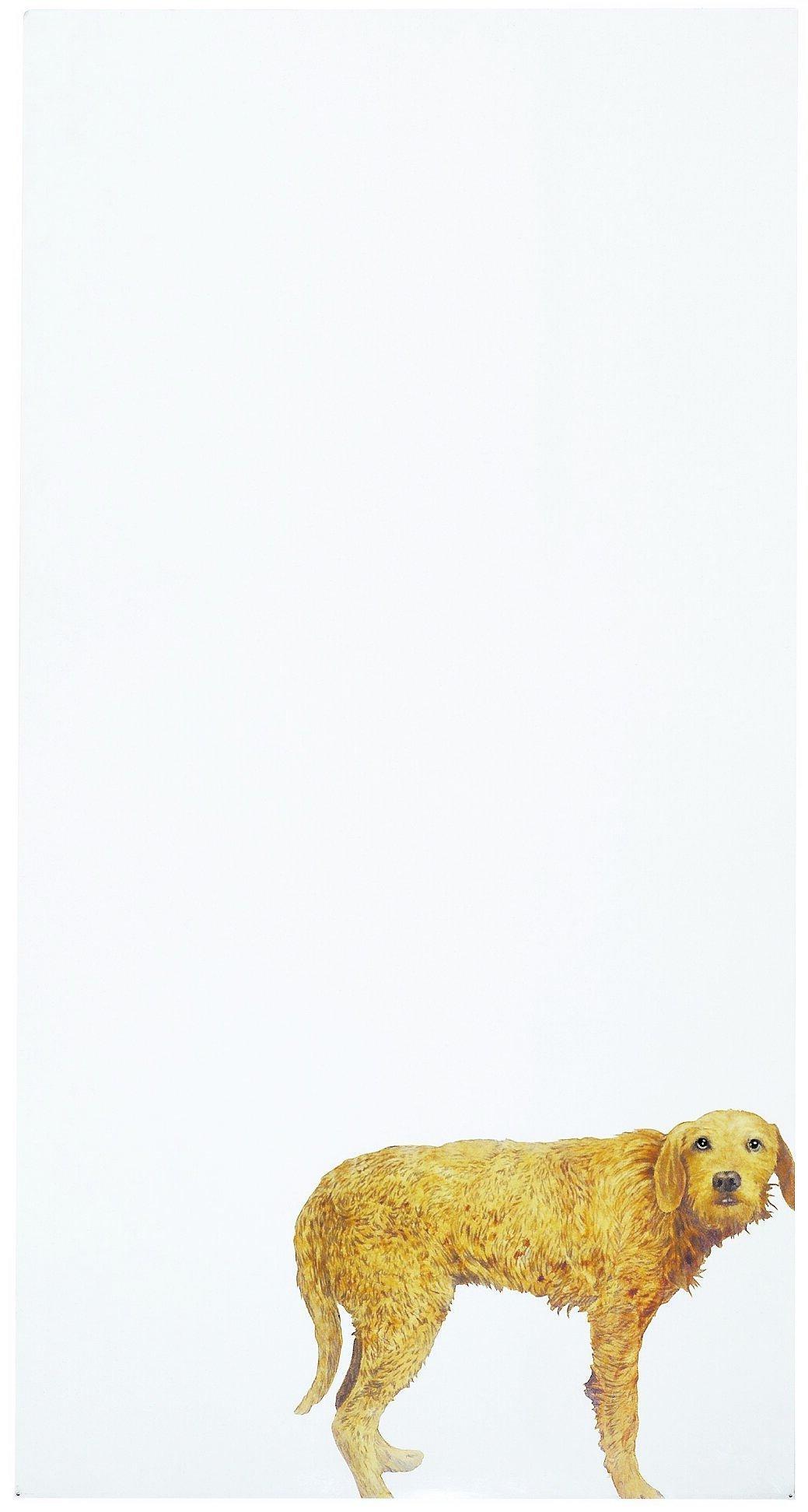 Michelangelo Pistoletto: ”Hund med hängande svans”, 1969.