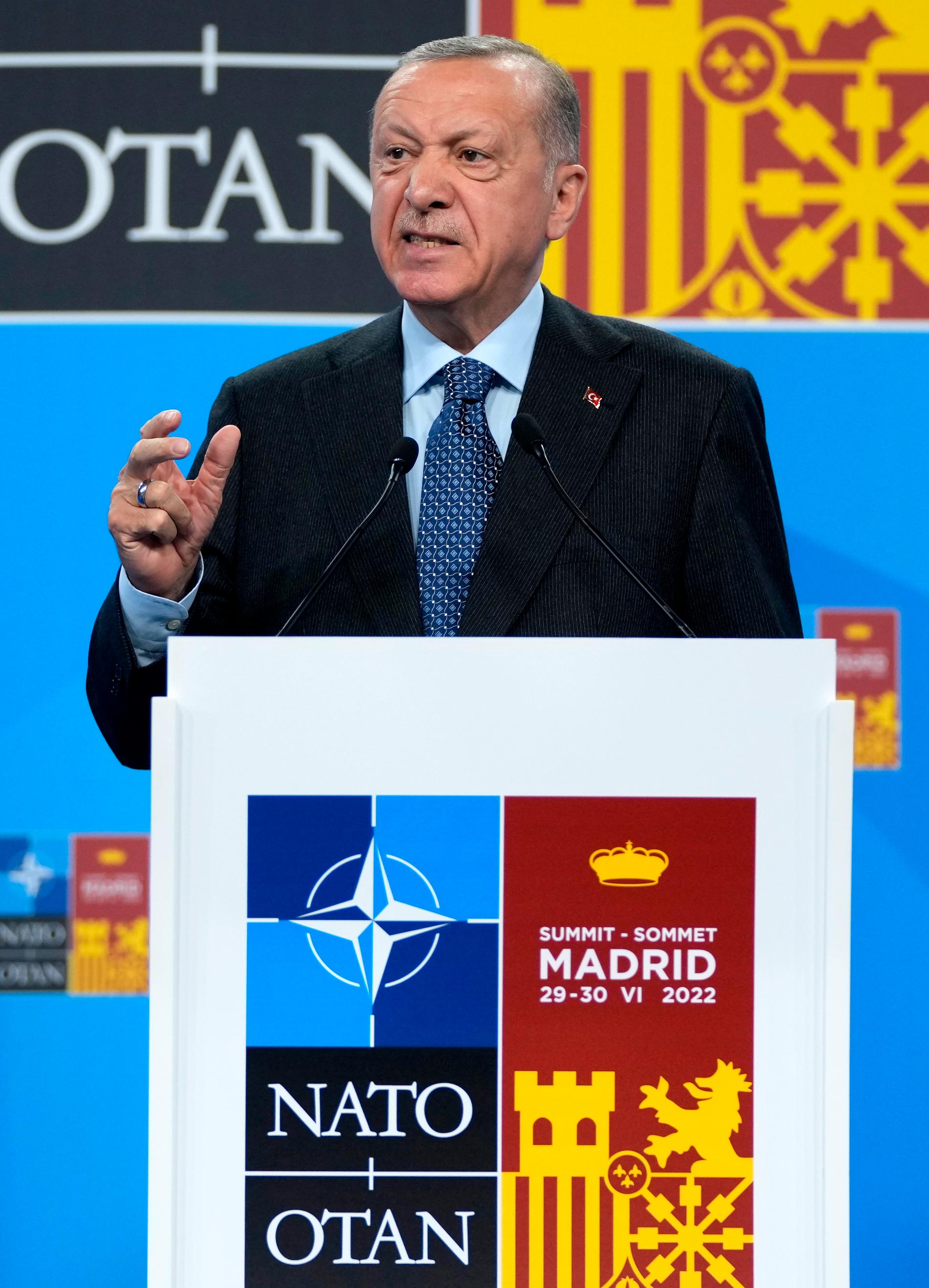 Erdogan under Nato-toppmötet i Madrid i somras.