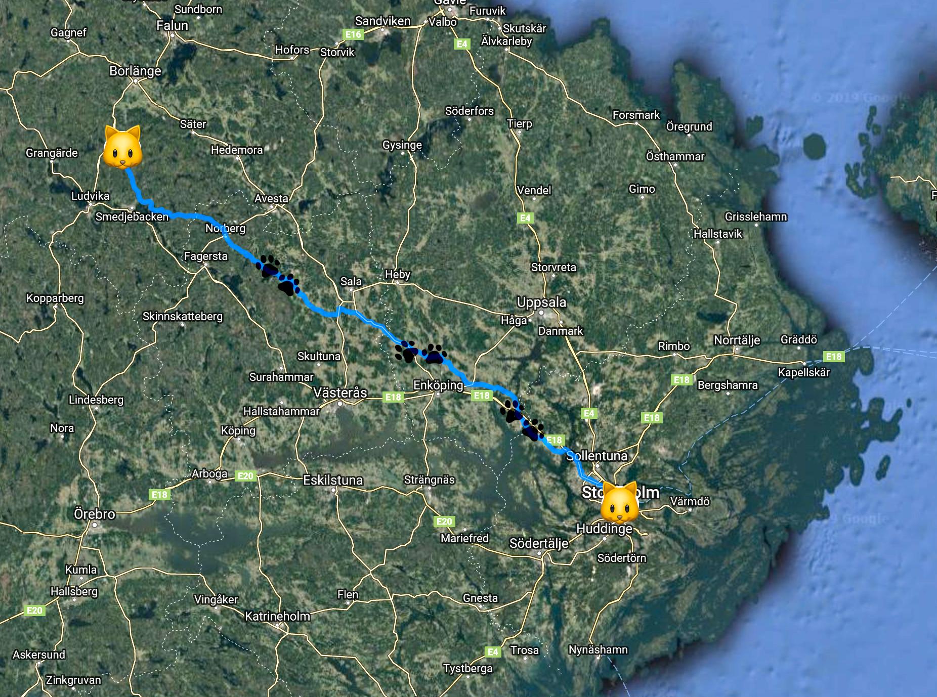 Musses vandringsled var cirka 200 kilometer, från Stockholm till Ulvshyttan utanför Borlänge.