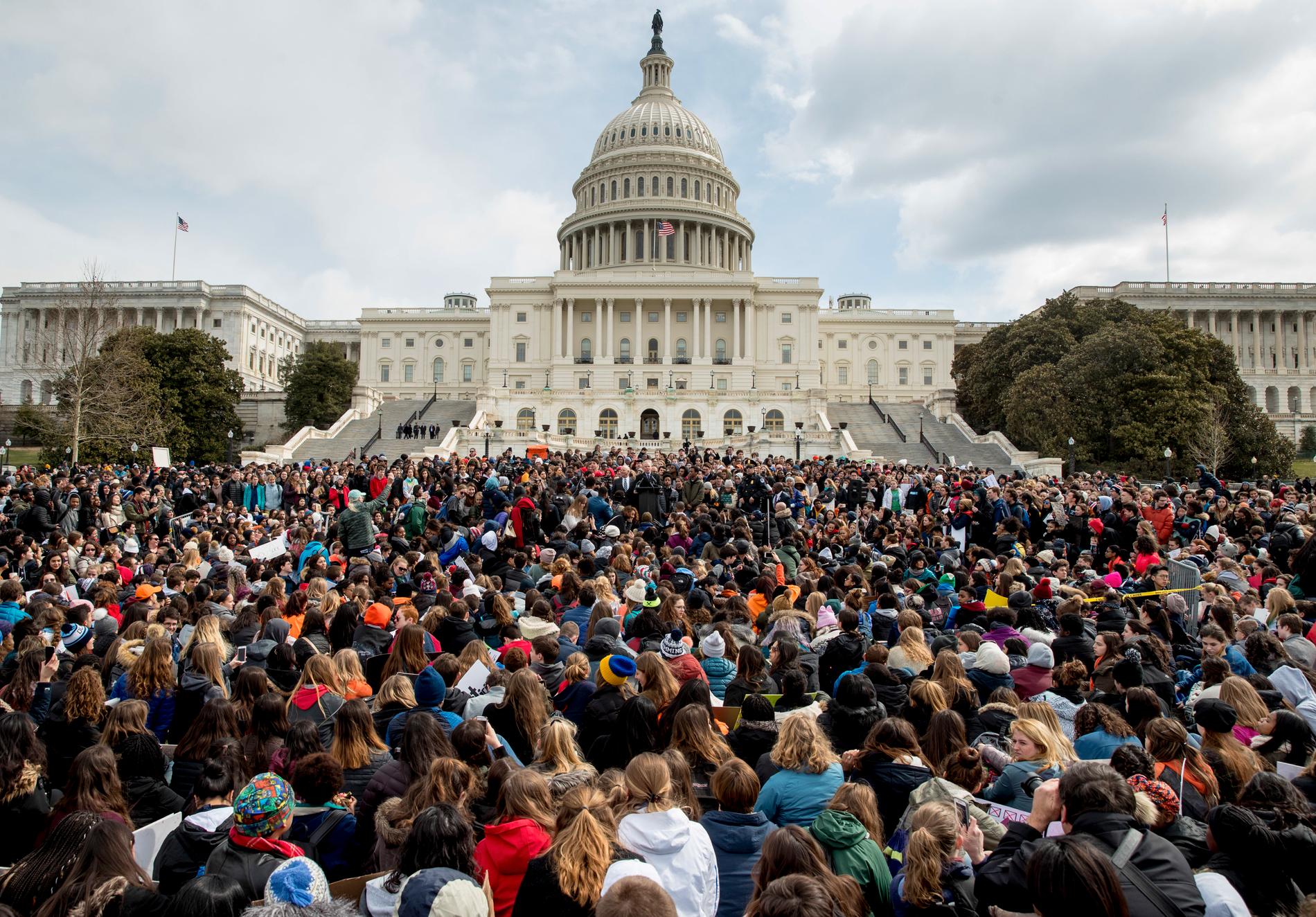 En jättedemonstration mot vapenrelaterat våld i USA:s huvudstad Washington DC i mars i år.