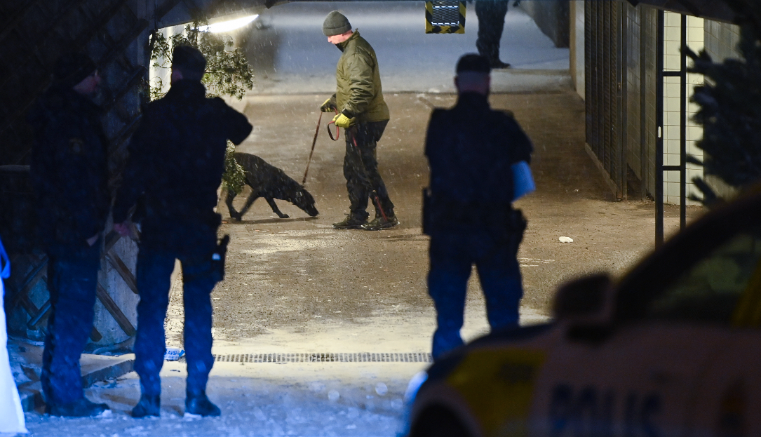 Stockholmspolisen har fått nationell förstärkning från andra regioner för att hjälpa till med utredningarna av de många grova våldsdåden.