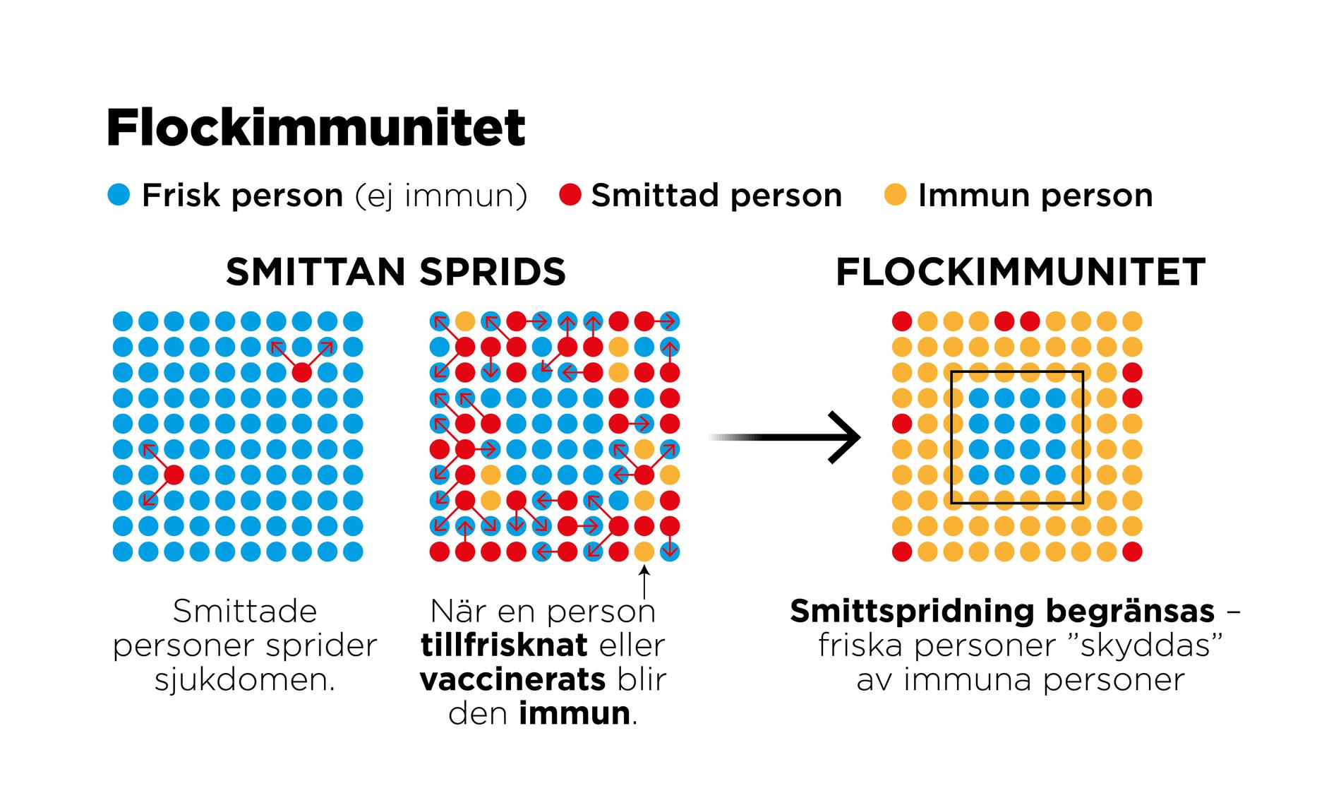 Flockimmunitet är ett epidemiologiskt begrepp om det fenomen som uppstår när en tillräckligt stor andel av befolkningen är immun mot ett visst smittämne.