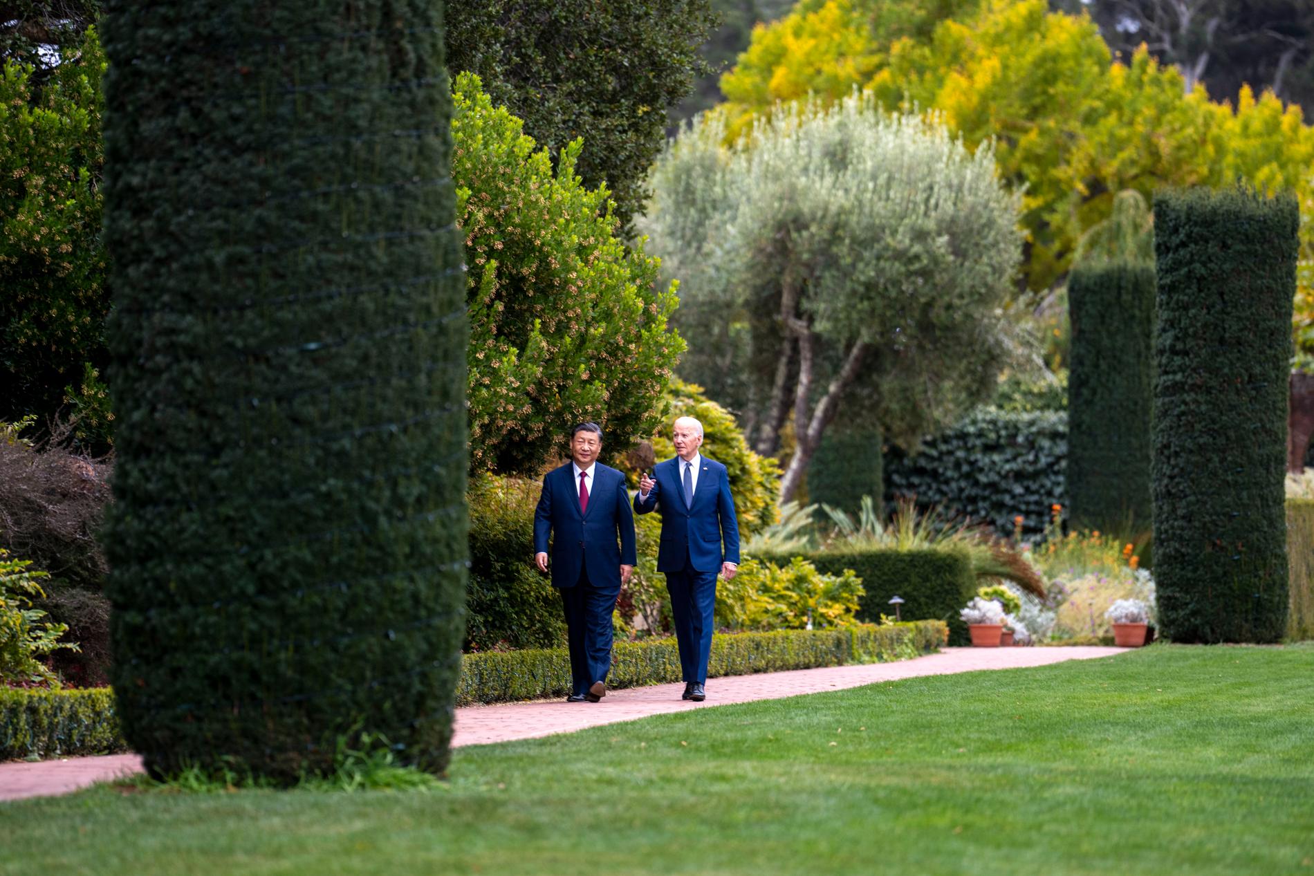 Xi Jinping och Joe Biden sida vid sida under en promenad i Woodside. 
