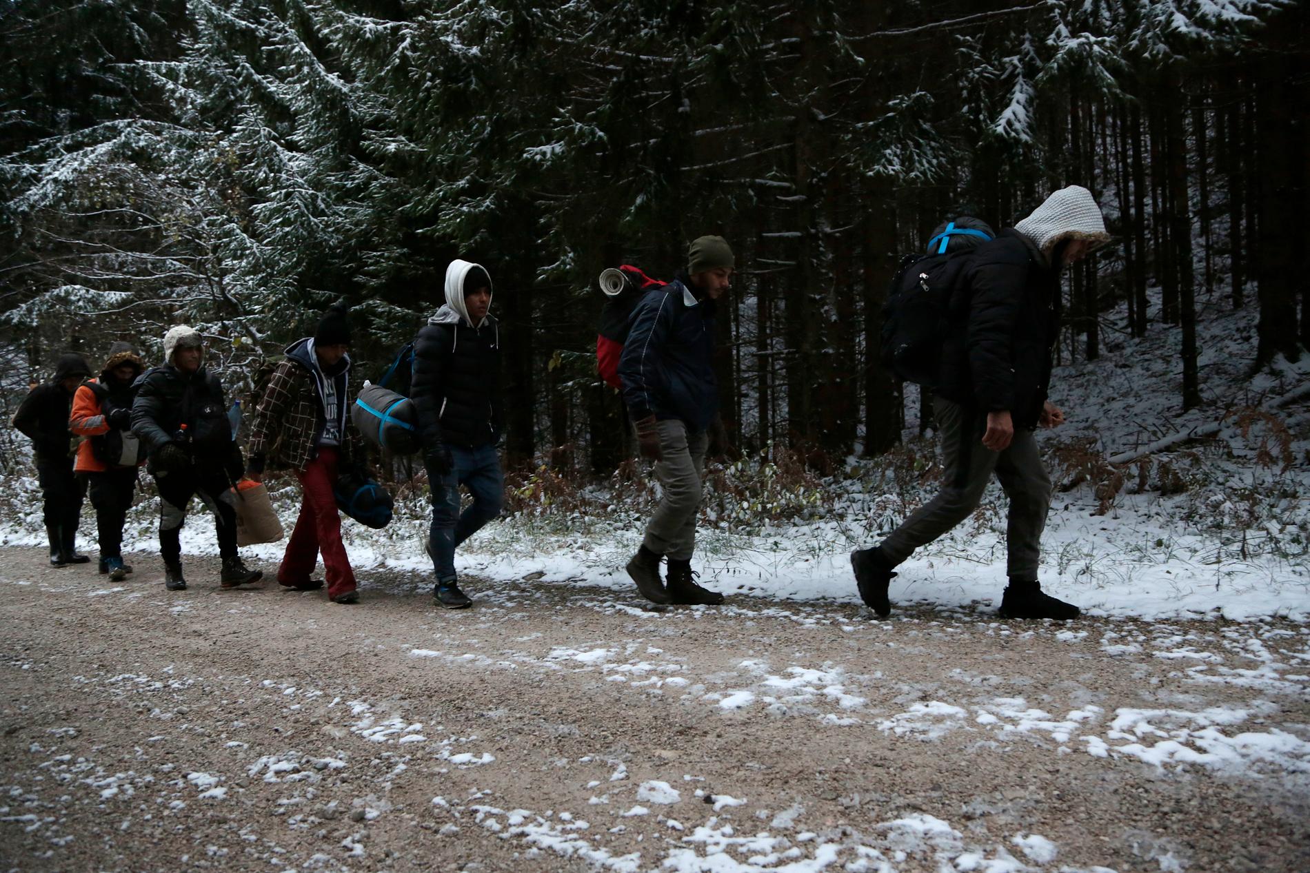 En grupp migranter i det bosniska bergsområdet Pljesevica på väg mot Kroatien. Arkivbild.