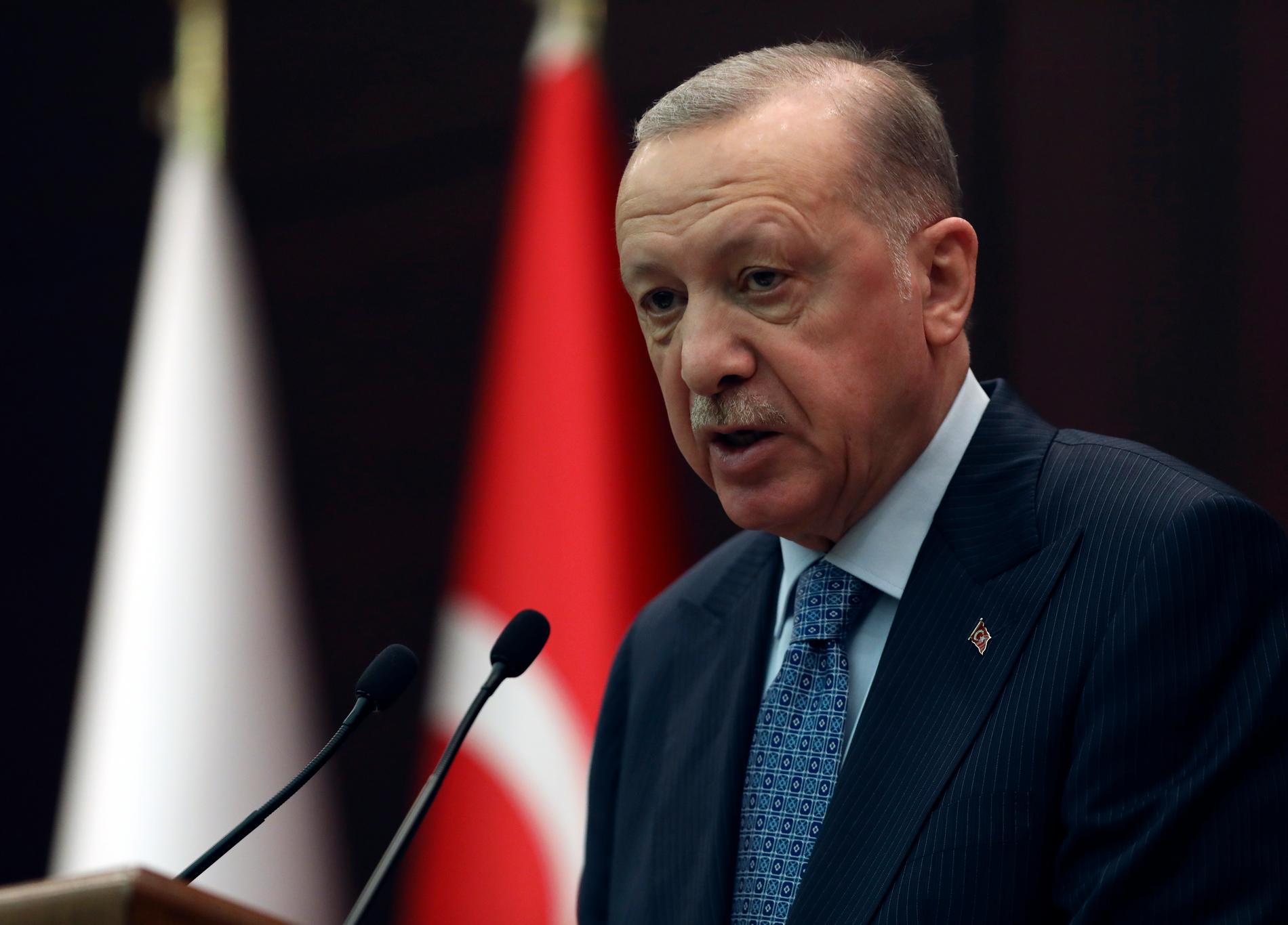 Under fredagen sa Turkiets president Recep Tayyip Erdogan att ”det vore ett misstag” att låta Sverige och Finland bli medlemmar i Nato.