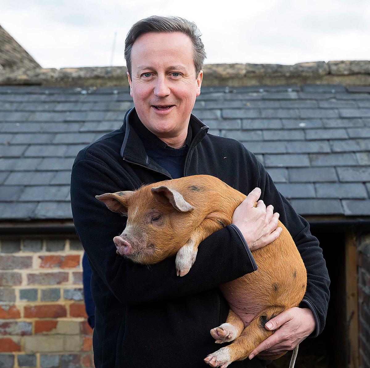 ERKÄNDE TILL SIST Till sist tvingades den brittiske premiärministern David Cameron - som byggt en politisk karriär på att moralisera över bidragsfusk - att erkänna att han tidigare hade smitit från skatten.