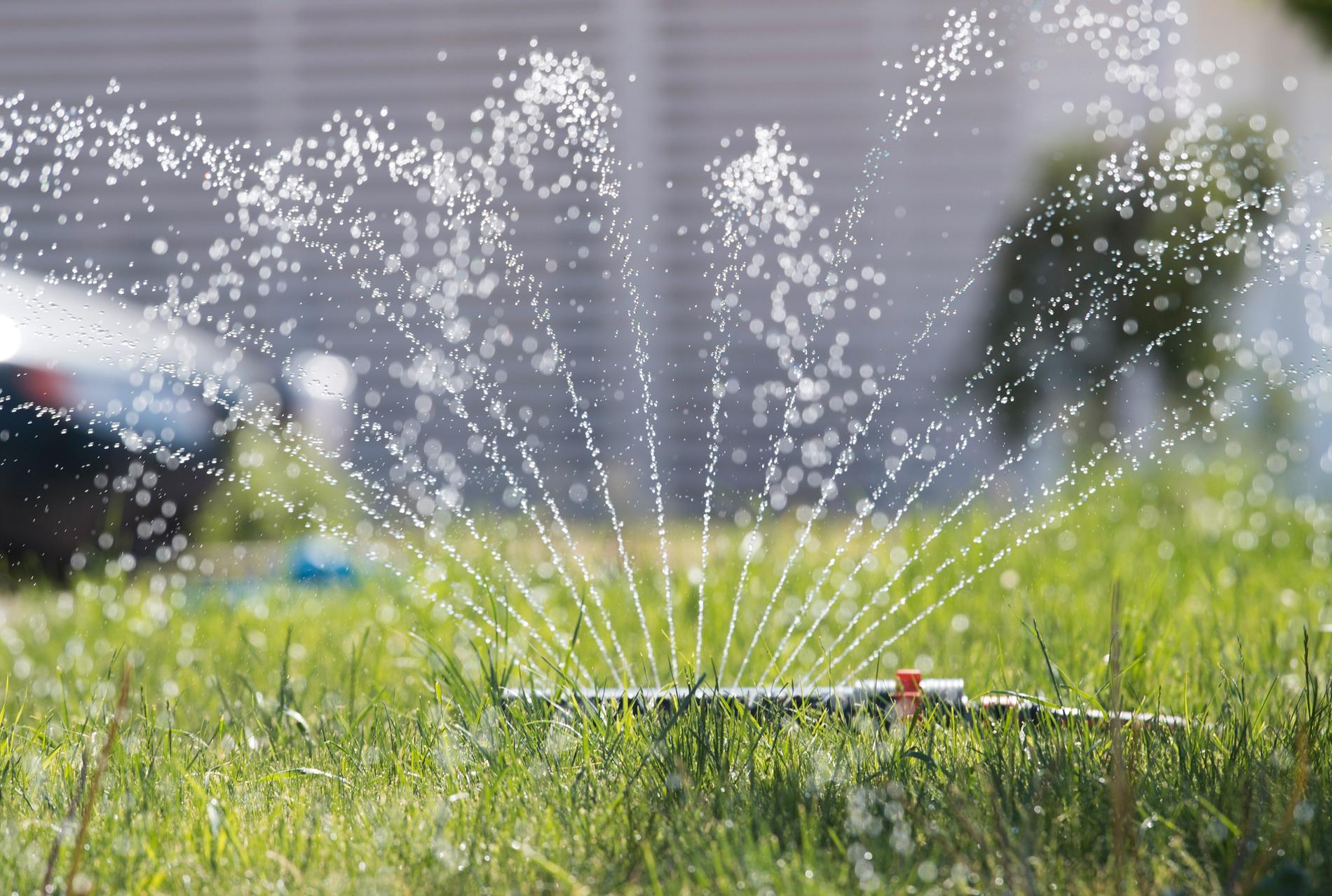 Allt fler kommuner inför bevattningsförbud. Landets vattenverk jobbar för högtryck när folk vattnar gräset och fyller pooler i sommarhettan. Arkivbild.