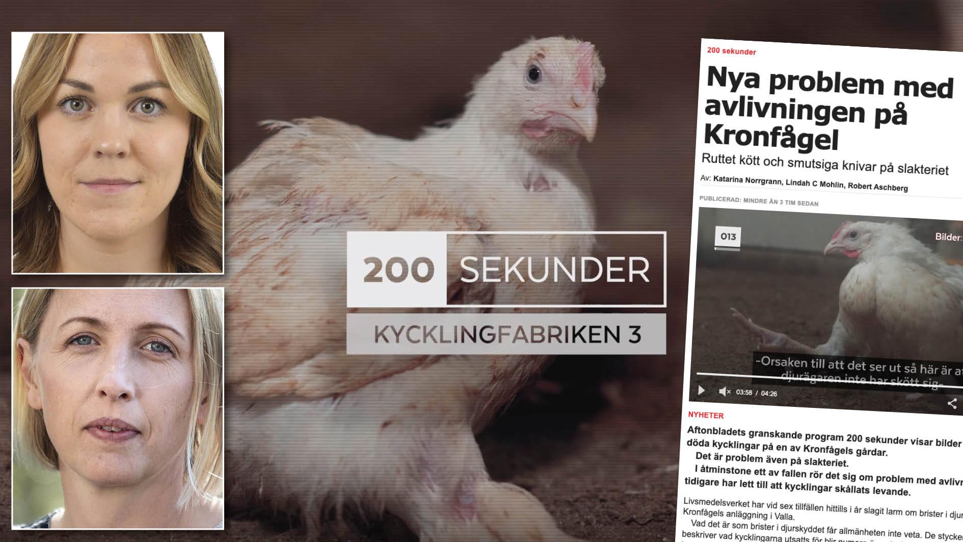 Aftonbladet har under veckan granskat kycklinguppfödningen i Sverige.  Det blir allt svårare att tro att det här är förfärliga undantag vi bevittnar. Det är dags att reagera kraftigare och systemförändrande, skriver Sofia Skönnbrink och Jytte Guteland.