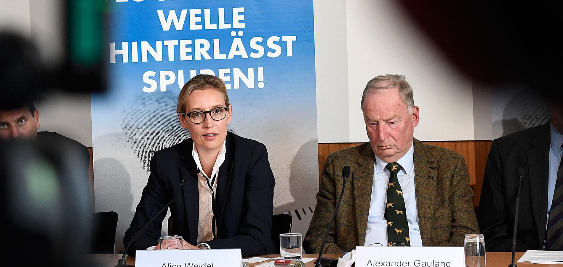 Alice Weidel och Alexander Gauland, partiledare för tyska AfD.