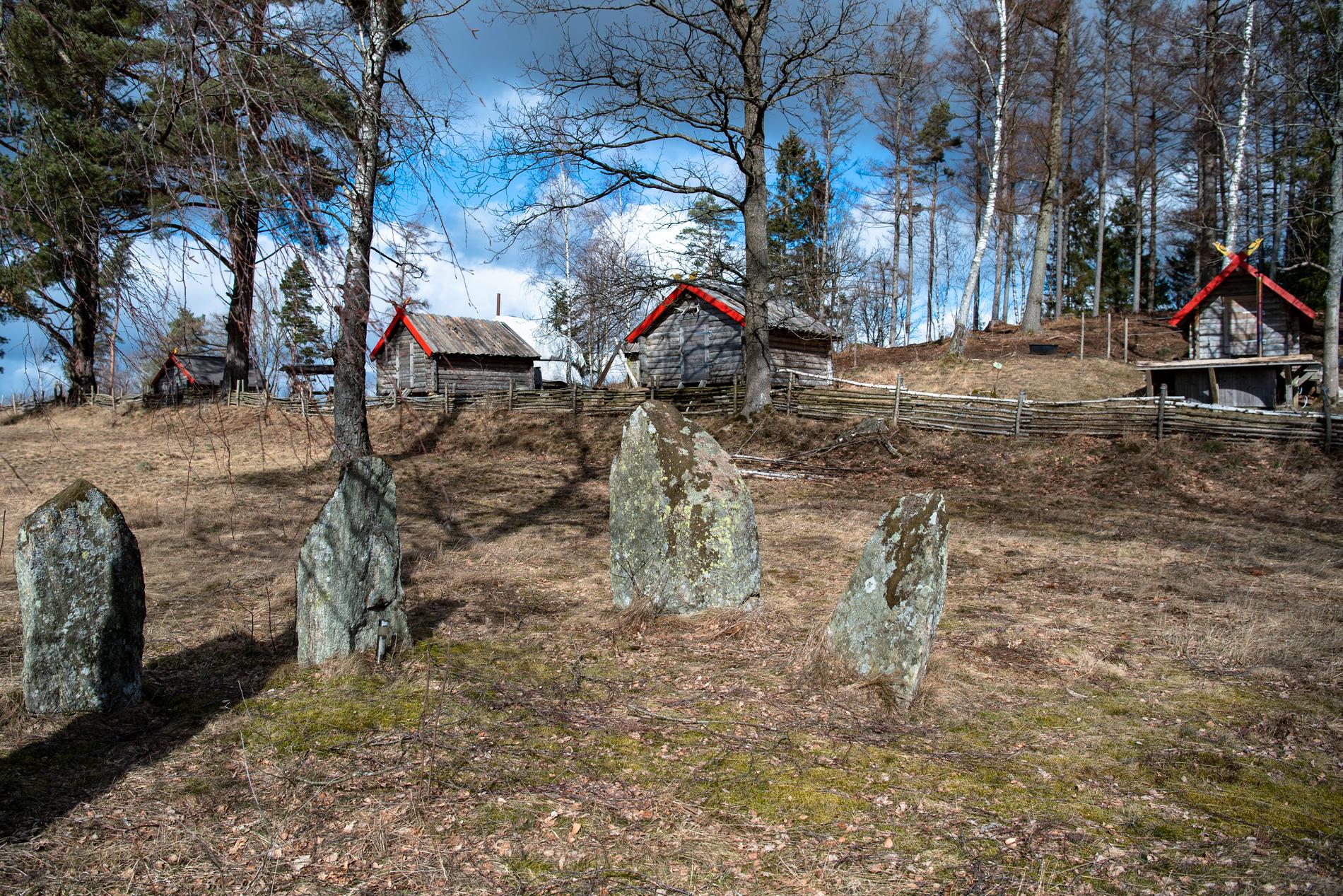 Vikingabyn Vittfarnas intill ett gravfält vid riksväg 23 i Hässleholm.