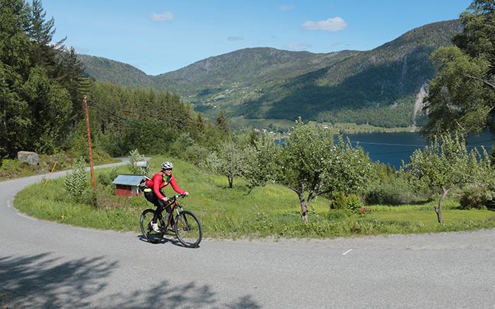 Telemark förknippas kanske mest med vintersport men är med sin idylliska natur ett höjdarställe att cykla i.