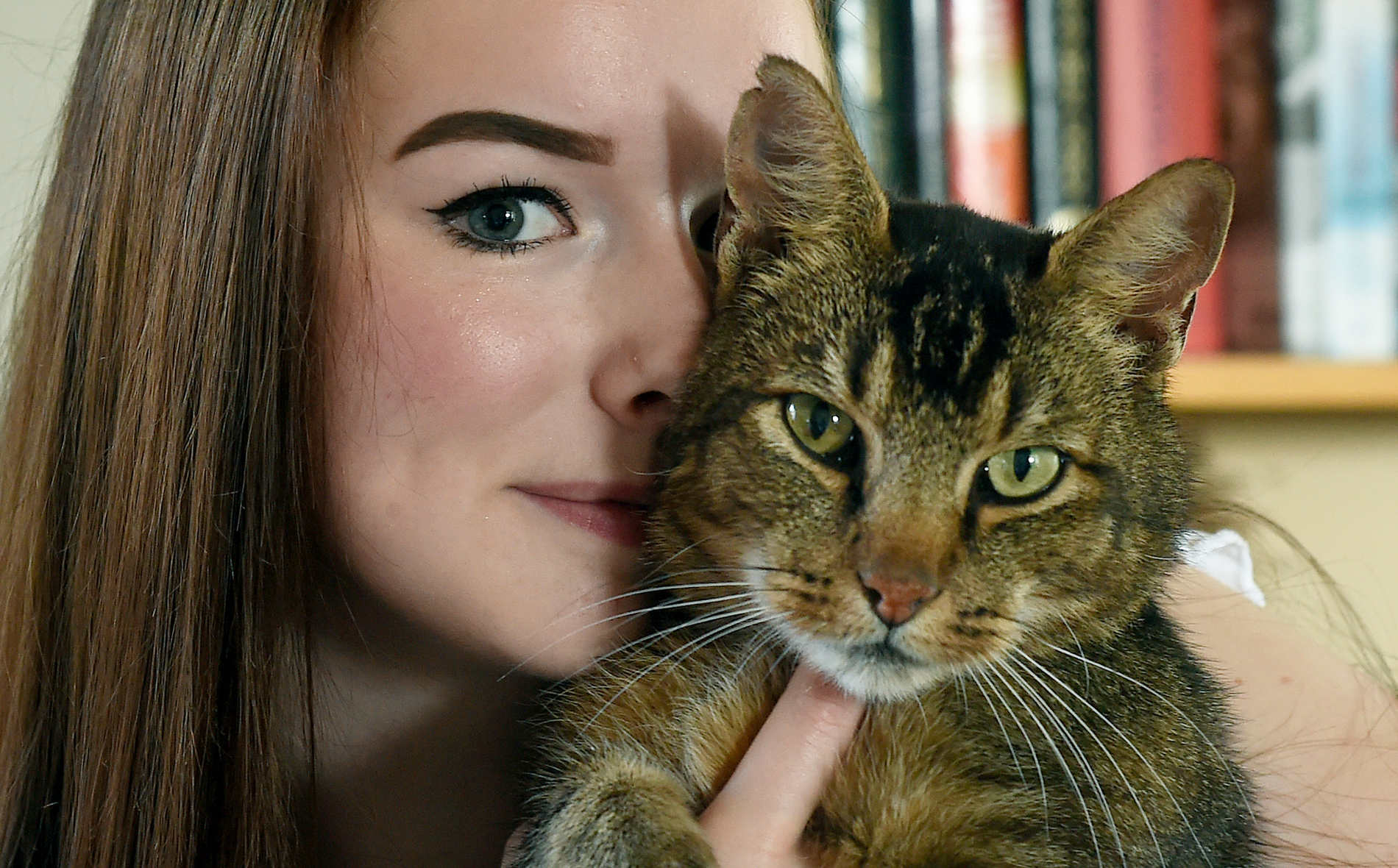 Katten Måns försvann från familjen för två år sedan. Här är han med dottern Mathilda.