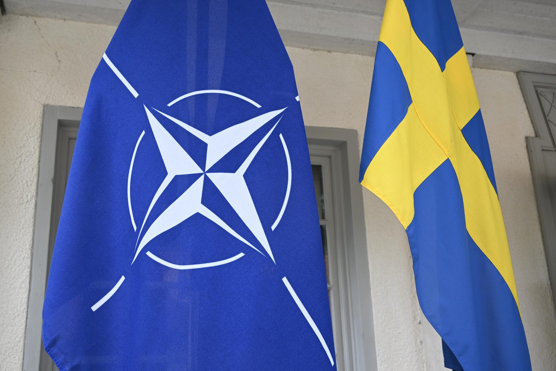 Nato är negativt inställda till att Sverige är observatör för FN:s kärnvapenförbud (TPNW).