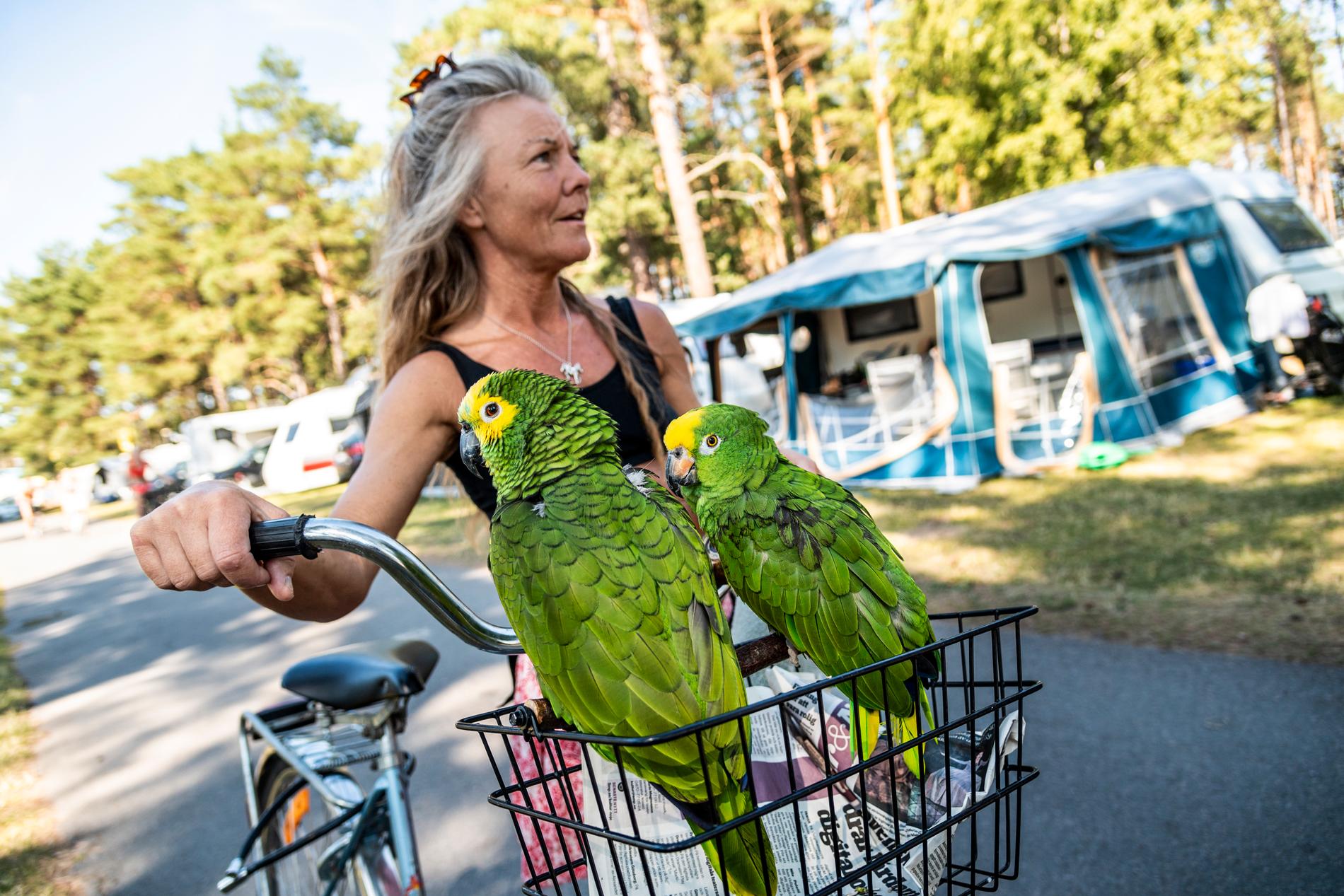 ”Att campa med fåglarna är fantastiskt”, säger Karin Blixt, 51, från Blötskog.