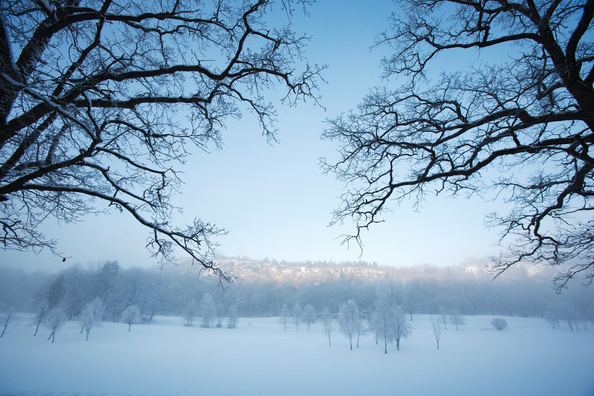 Snötäckt landskap på Öland – men knappast fåk. Arkivbild.