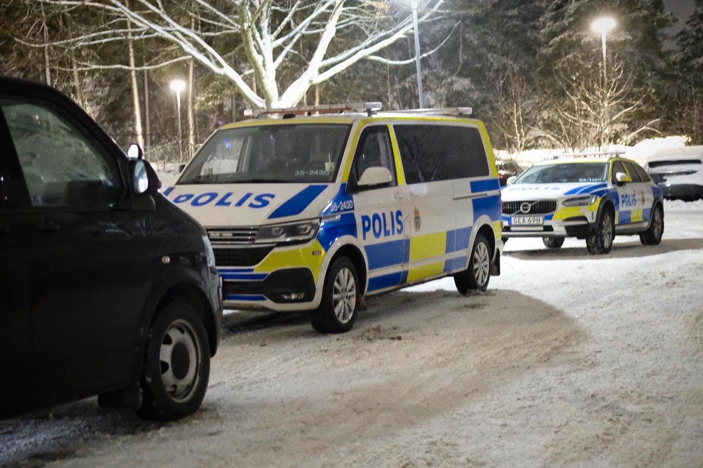 Fyra ungdomar har häktats efter rånet mot en guldbutik i Jakobsberg förra veckan. Insatsstyrkan deltog i tillslaget.