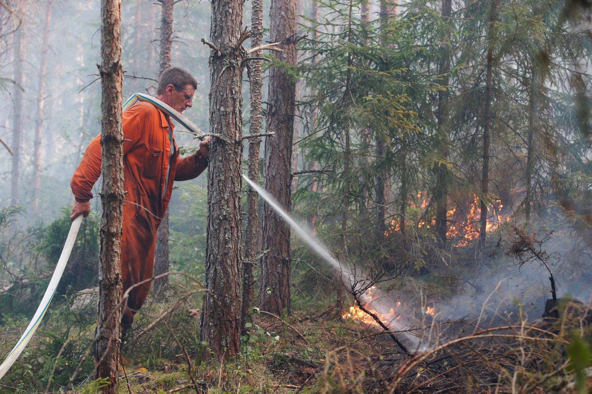Släckningsarbete av under den stora skogsbranden i Västmanland 2014.