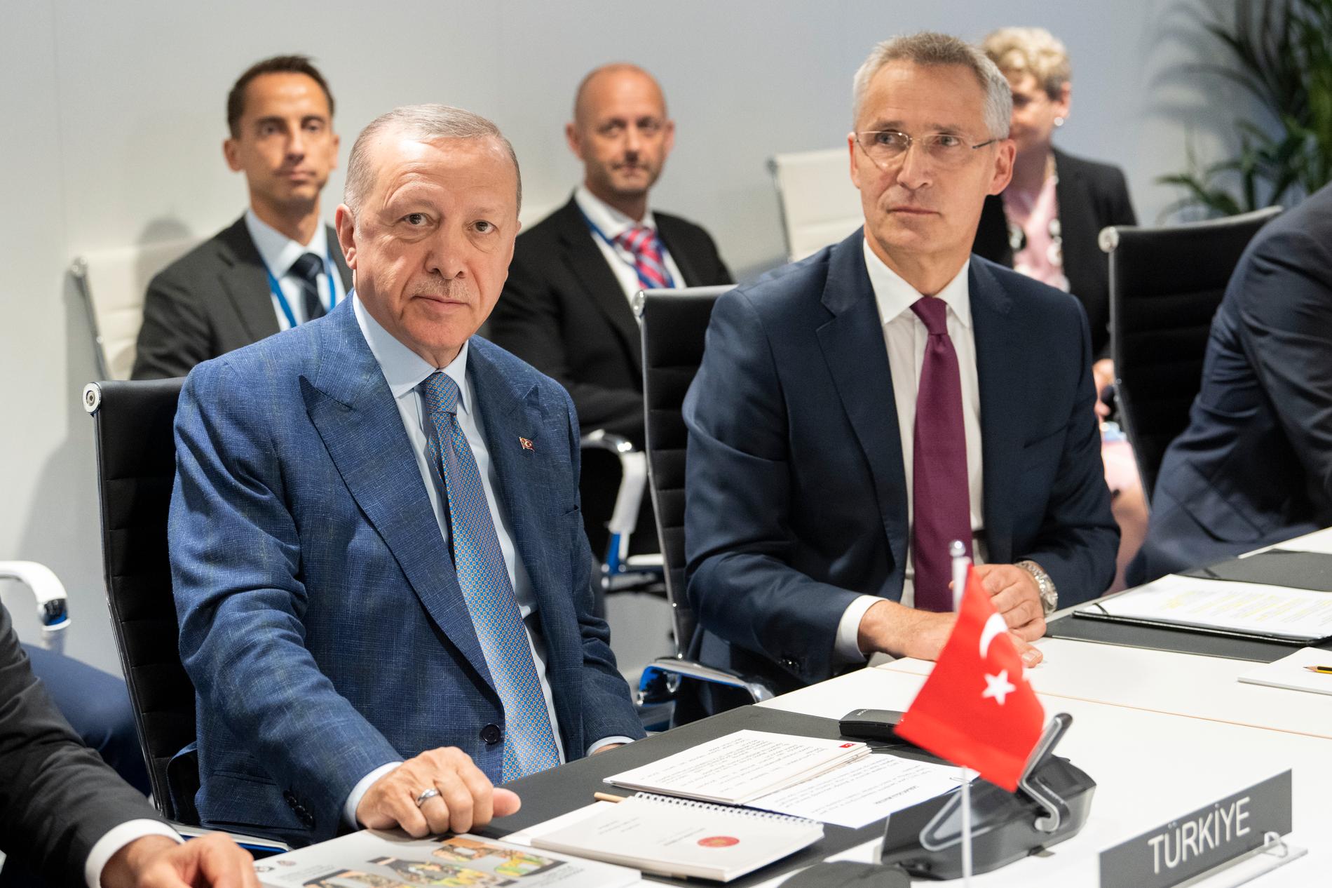 Turkiets president Recep Tayyip Erdogan talar med Natos generalsekreterare Jens Stoltenberg.