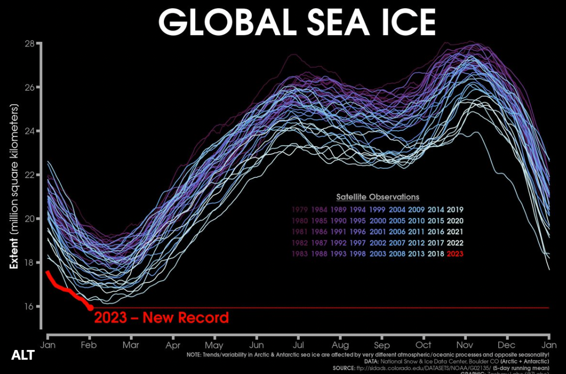 Den totala havsisens utbredning. Grafik av klimatforskaren Zack Labe vid Princeton University.