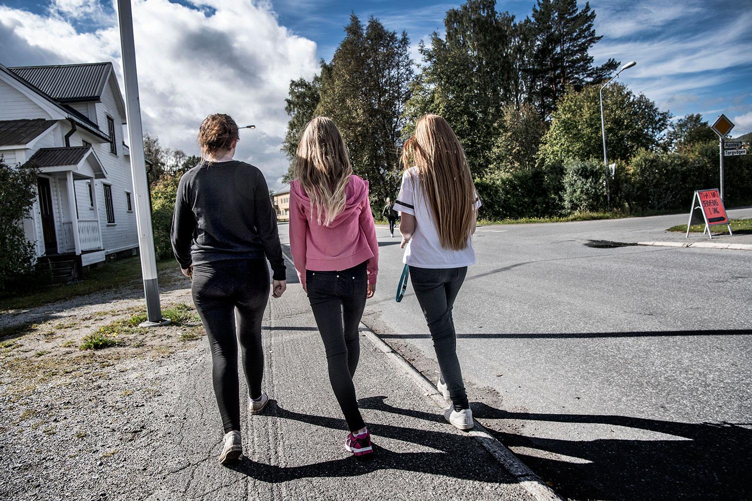 Fjällsjö Nyheter påstod att tonårsflickor hade blivit sexuellt trakasserade av en grupp flyktingpojkar i Backe.