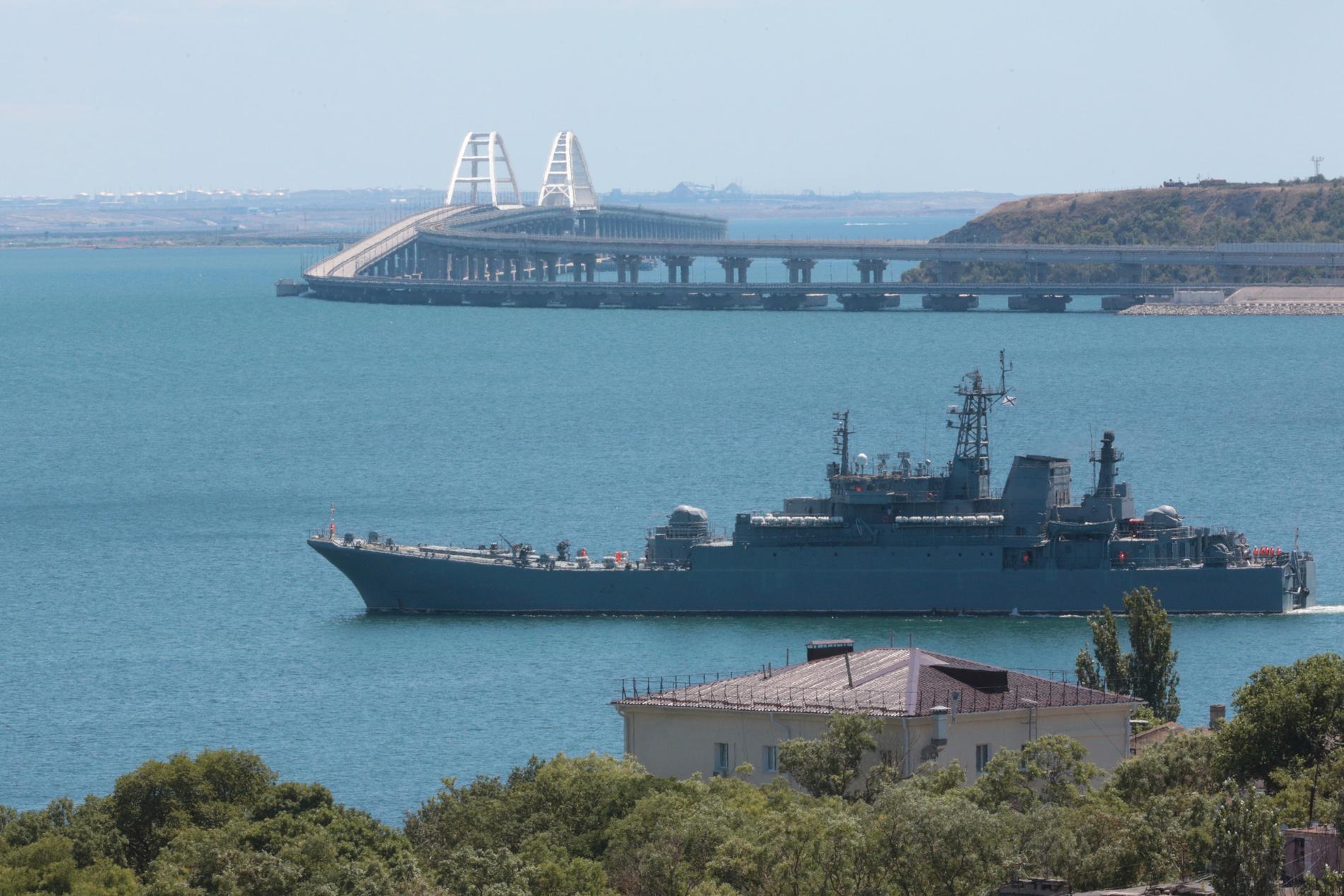Ett av Rysslands landstigningsfartyg i Svarta havet har attackerats av Ukraina. Bilden visar ett likadant fartyg, oklart om det är just Novotjerkassk. Arkivbild.