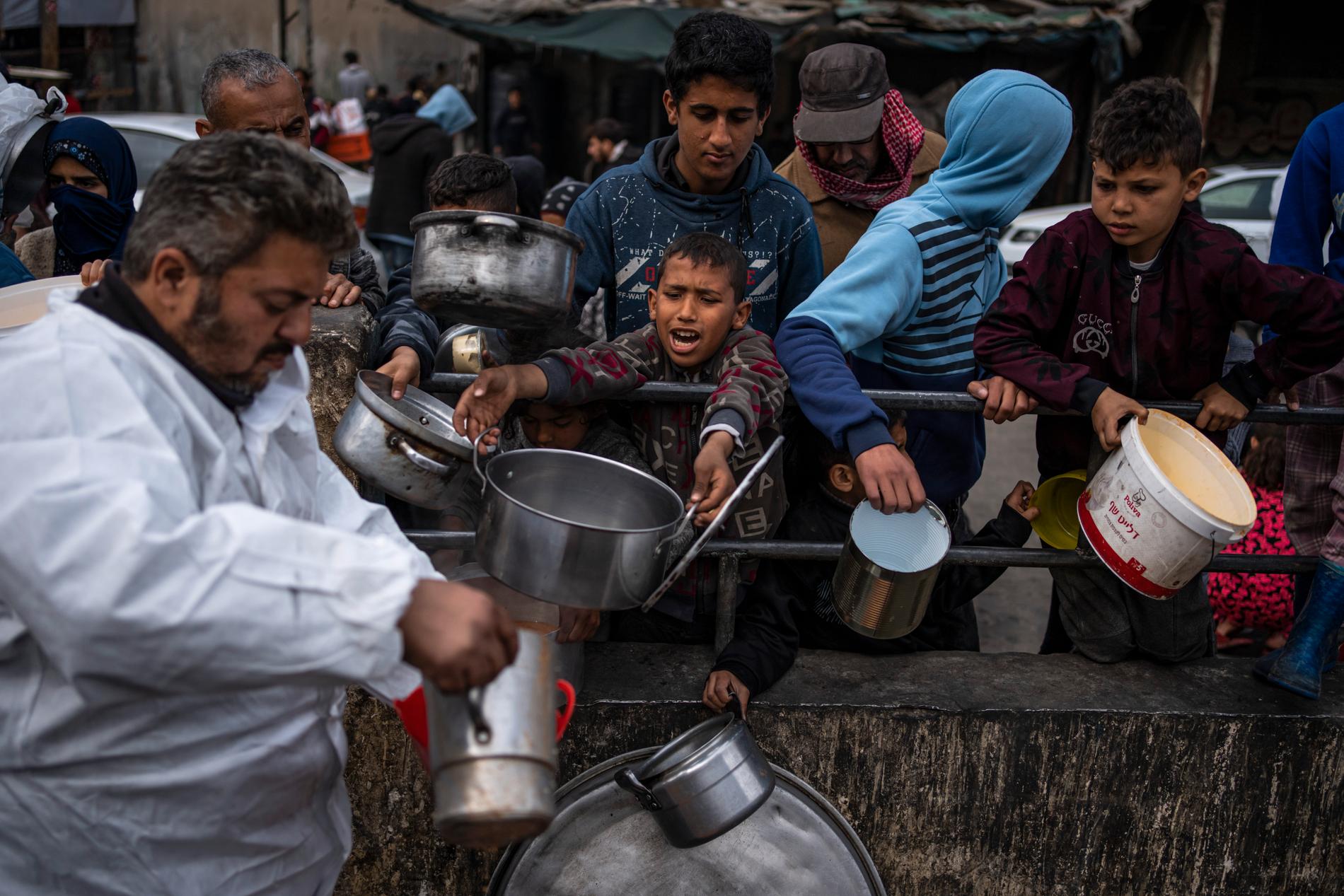 Palestinier köar för att få mat i Rafah.