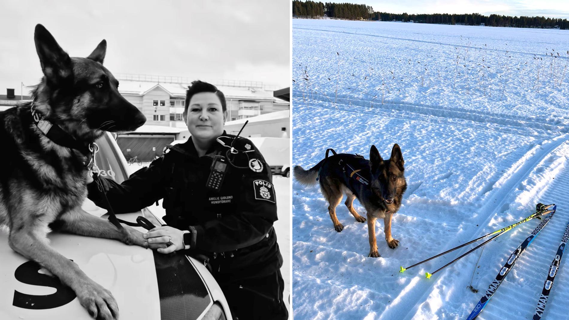 Ojje och Amelie Gidlund utgår från Luleå, så de är vana vid att arbeta i kyla och snö, även om det är snäppet kallare i Övertorneå.