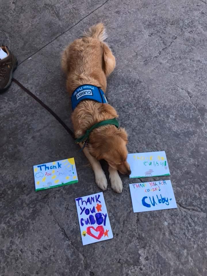 Hunden Cubby tackas för stödet.