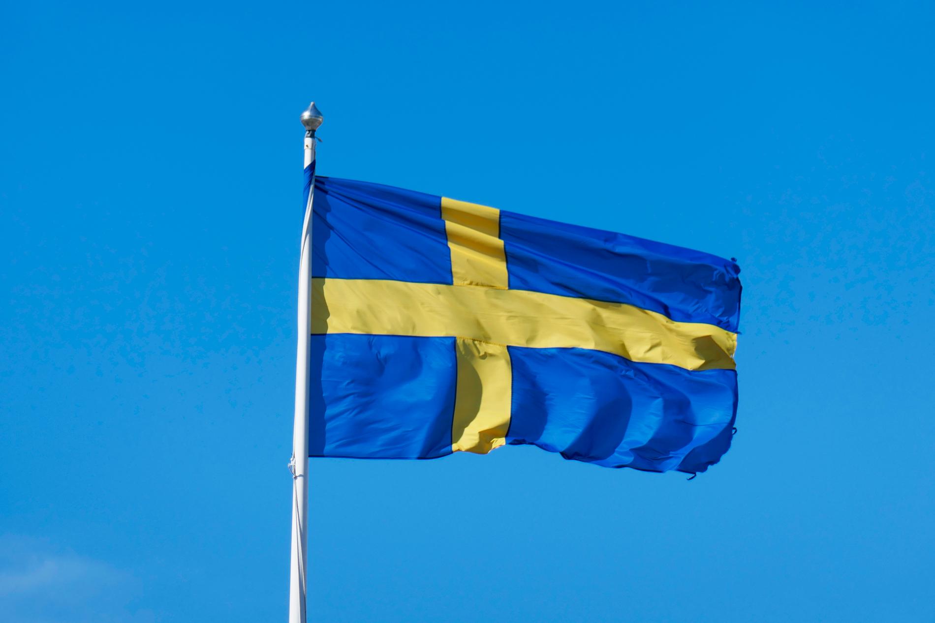 Närmare 64 000 personer fick svenskt medborgarskap under fjolåret, en minskning med 5 000 sedan 2017. Arkivbild.